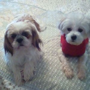 Meet your Posher, Lynn